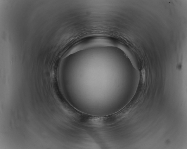 X0000091590084200708201239