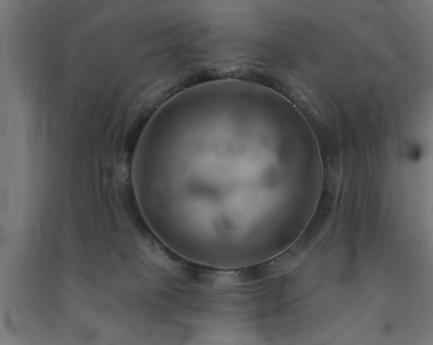 X0000091590085200708201240