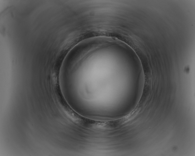 X0000091590086200708201240