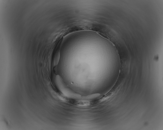 X0000091590088200708201240