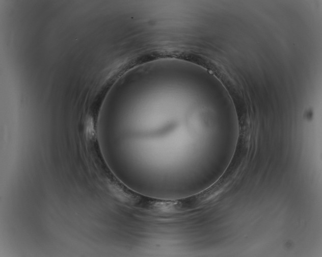 X0000091590089200708201240