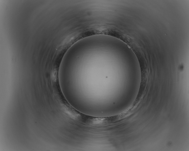 X0000091590090200708201240