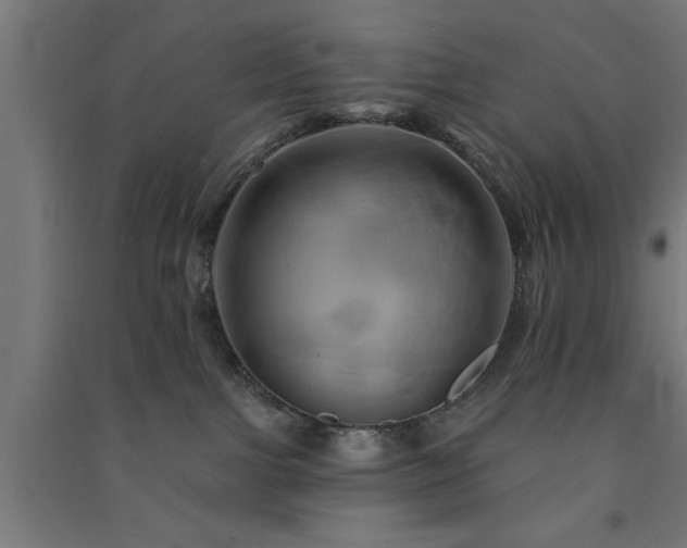 X0000091590091200708201240