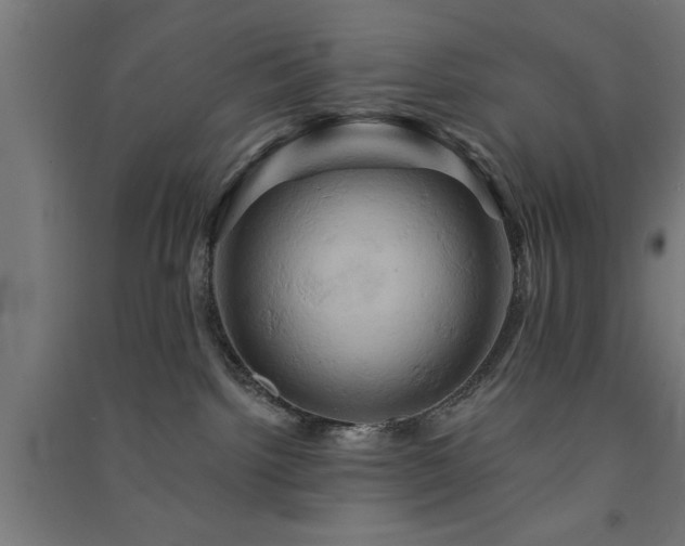 X0000091590092200708201240