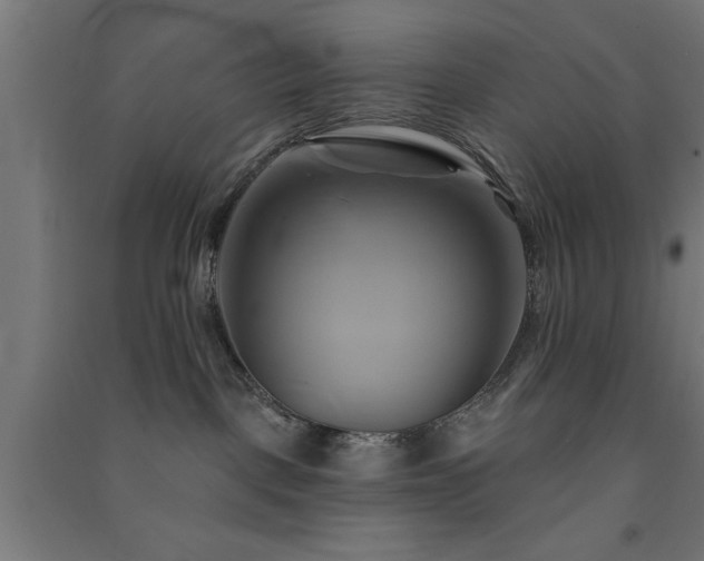 X0000091590093200708201240