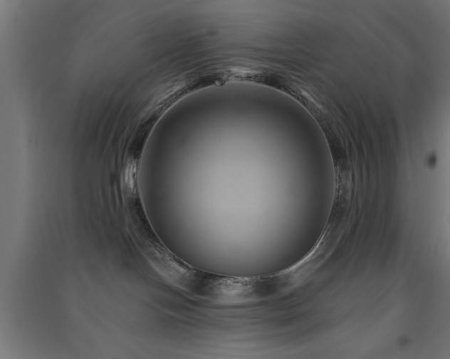 X0000091590094200708201240