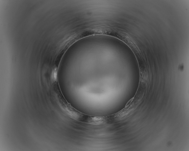 X0000091590095200708201240