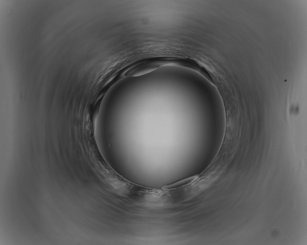 X0000091590096200708201240