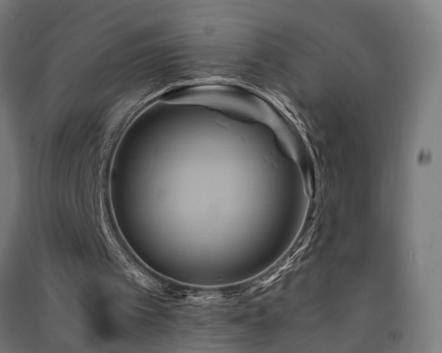 X0000091590097200708201239