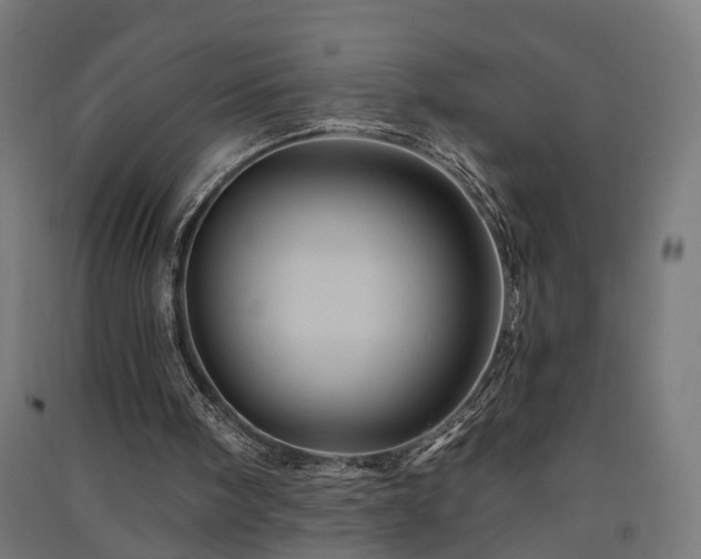 X0000091590098200708201239