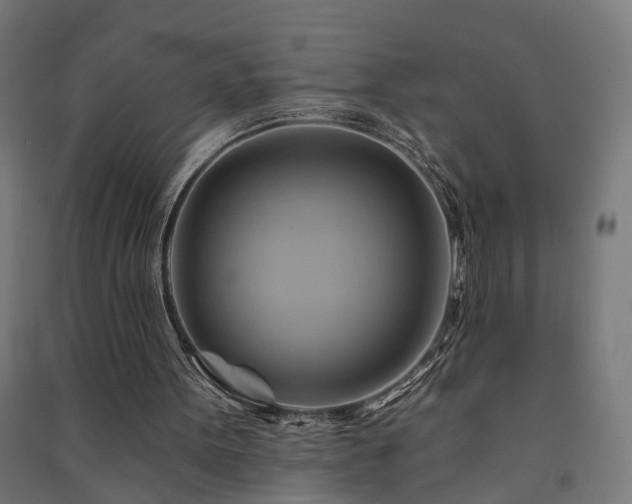 X0000091590099200708201239