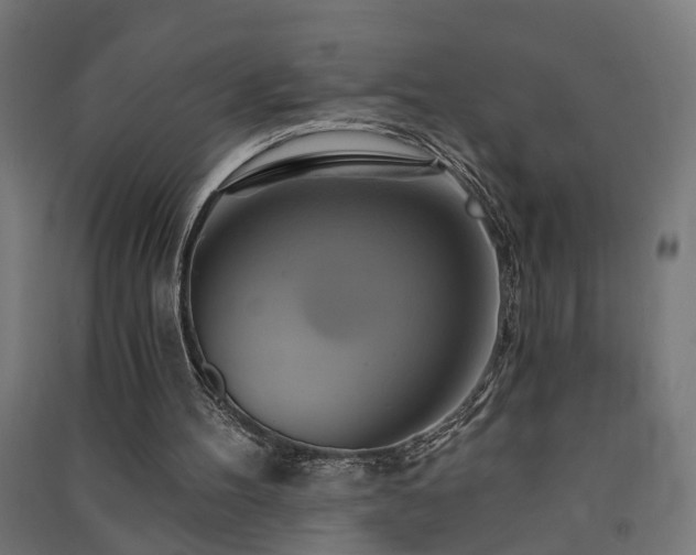X0000091590100200708201239