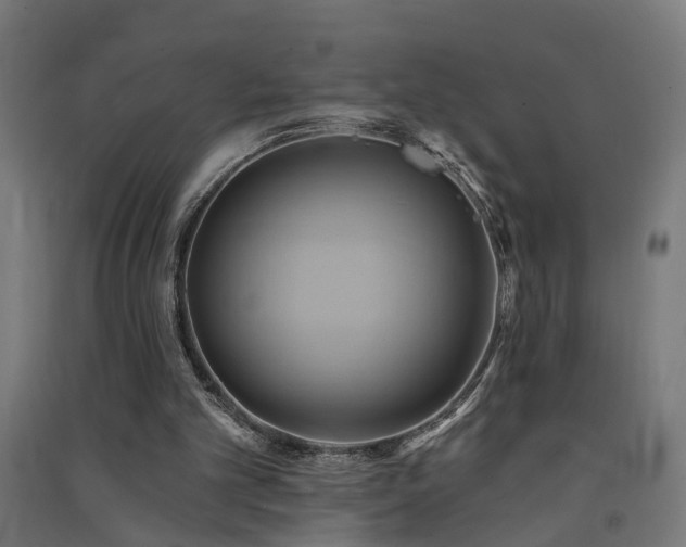 X0000091590101200708201239