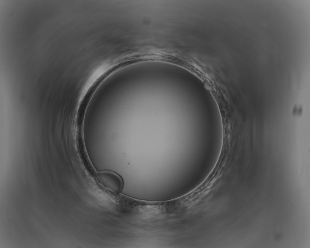 X0000091590102200708201239