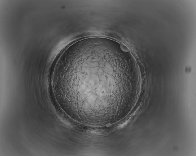 X0000091590103200708201239