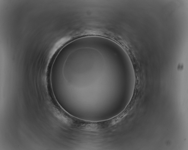 X0000091590104200708201239