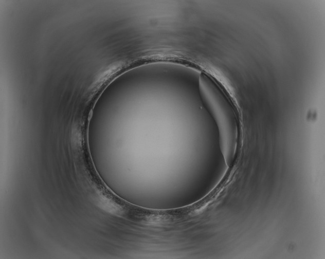 X0000091590105200708201239