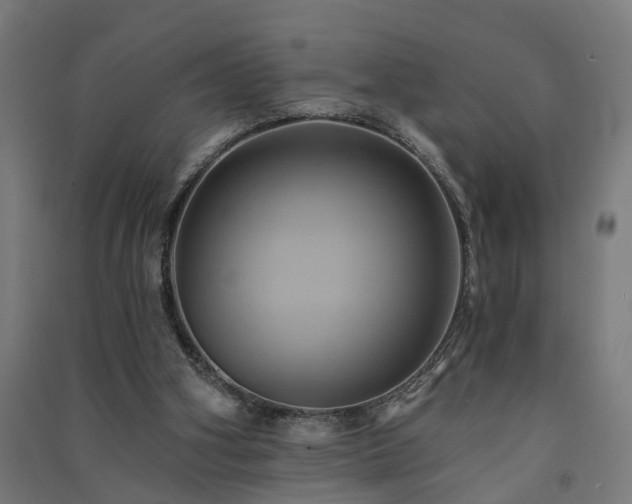 X0000091590106200708201239