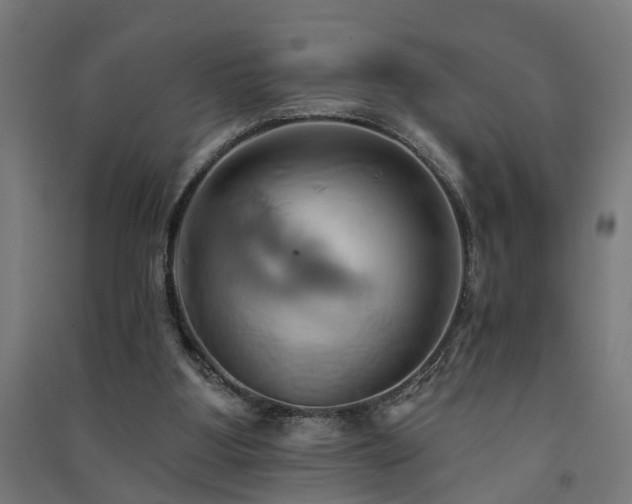 X0000091590107200708201239