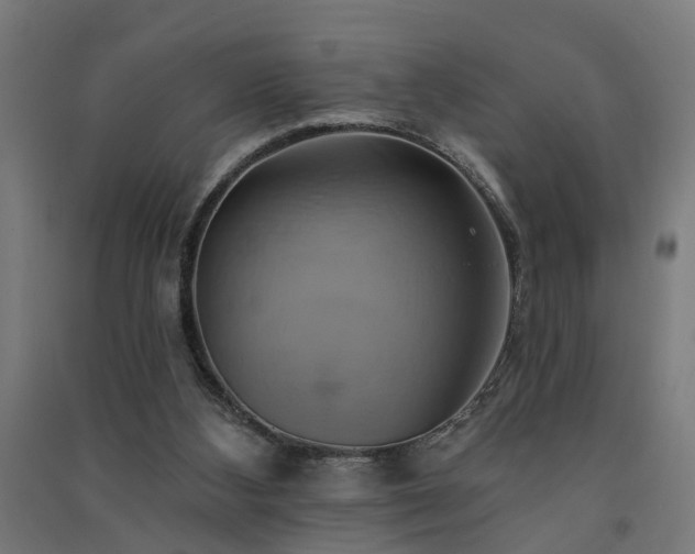 X0000091590108200708201239