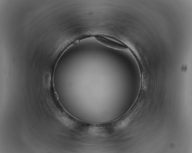 X0000091590109200708201239