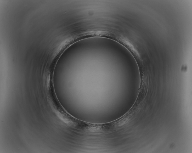 X0000091590110200708201239