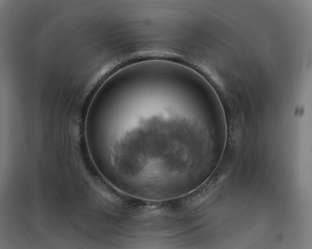 X0000091590111200708201239