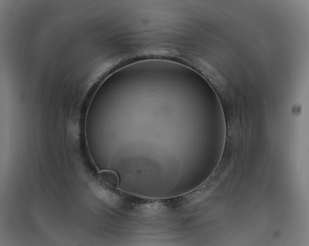X0000091590112200708201239