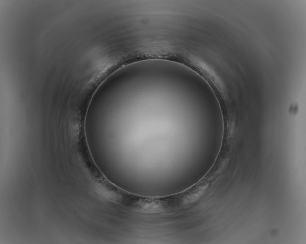 X0000091590113200708201239