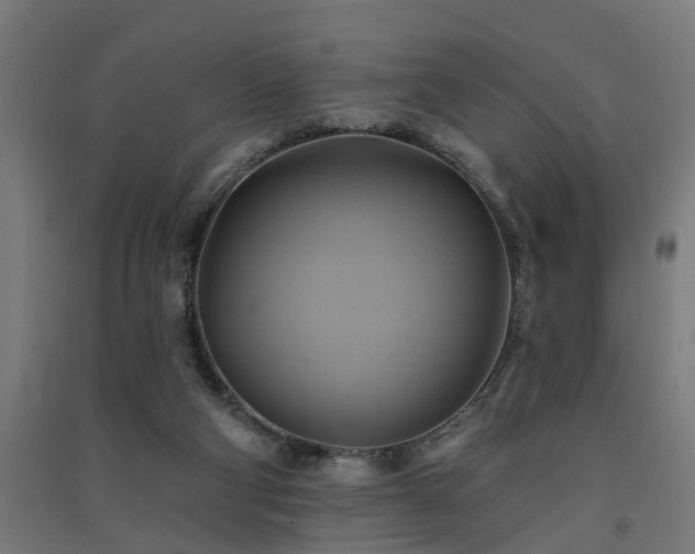 X0000091590114200708201239
