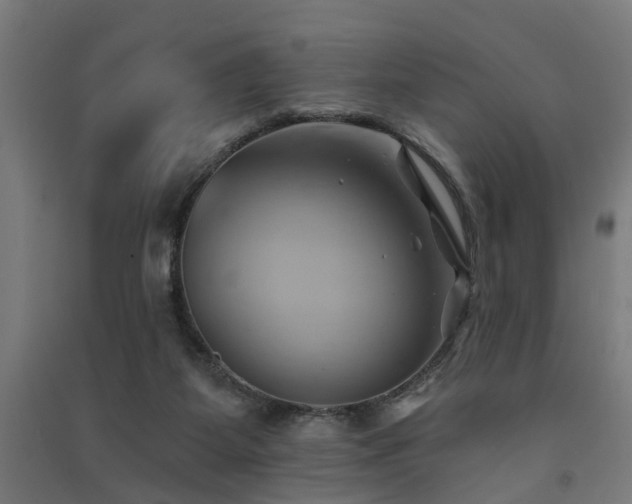 X0000091590115200708201239