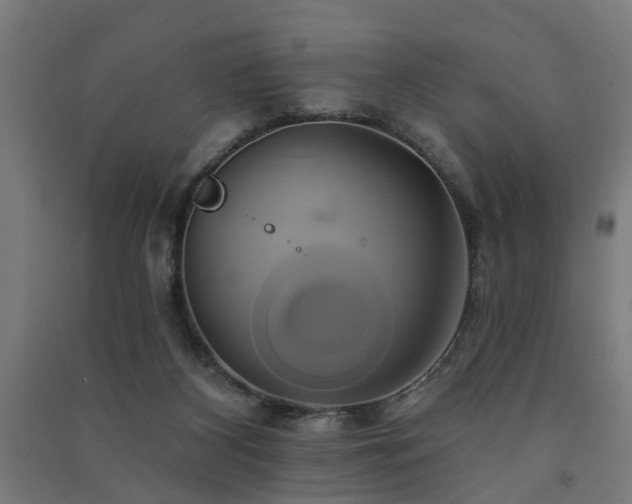 X0000091590116200708201239