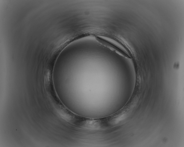 X0000091590117200708201239