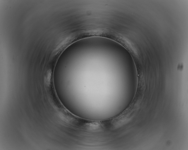 X0000091590118200708201239