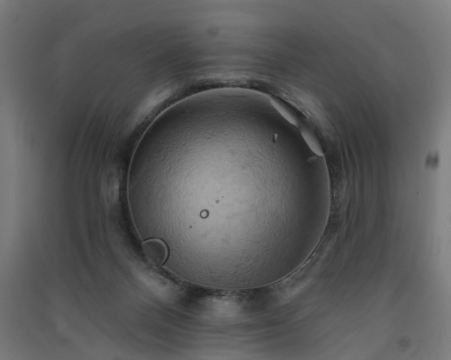 X0000091590120200708201239