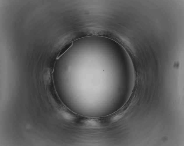 X0000091590121200708201238