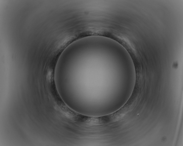 X0000091590123200708201238