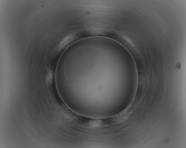 X0000091590124200708201238