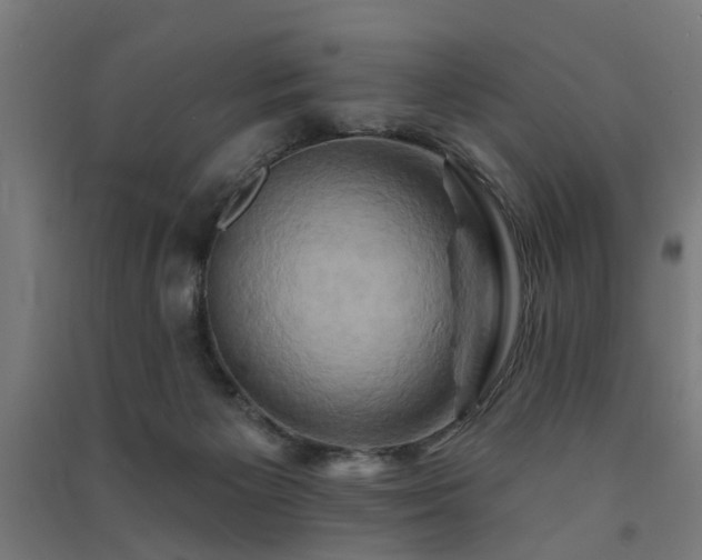 X0000091590125200708201238