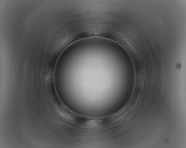 X0000091590126200708201238