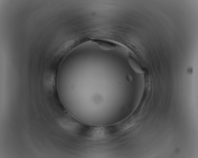 X0000091590127200708201238