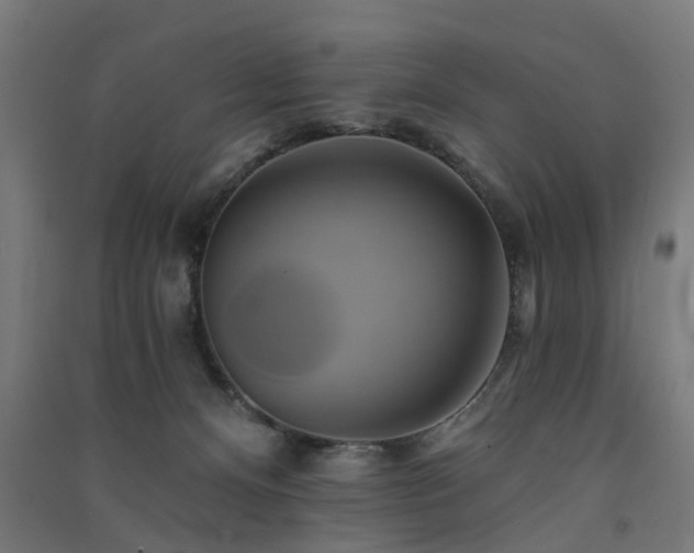 X0000091590128200708201238