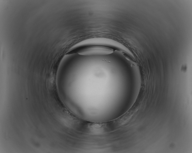 X0000091590129200708201238