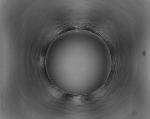 X0000091590130200708201238