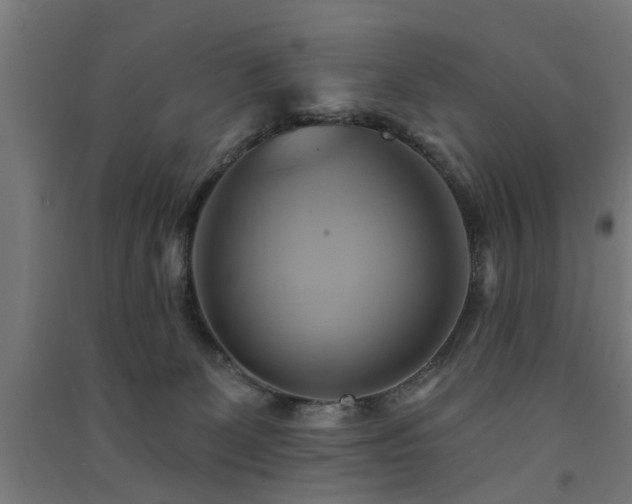 X0000091590131200708201238