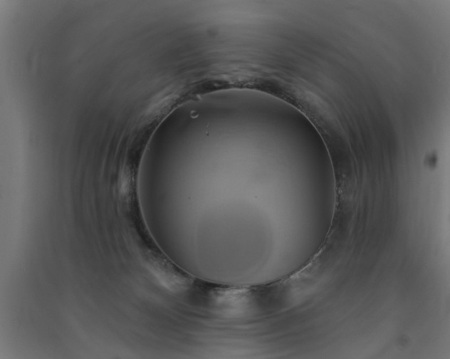 X0000091590132200708201238