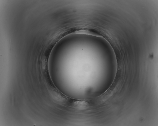 X0000091590133200708201238