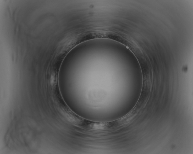 X0000091590134200708201238