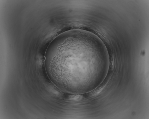 X0000091590135200708201238