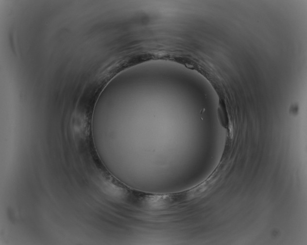 X0000091590136200708201238